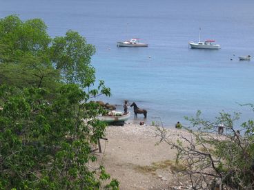 Curacao Sunshine Getaway