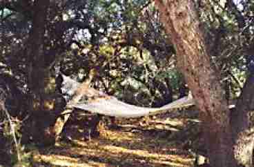 Relax