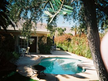 Sparkling freeform pool