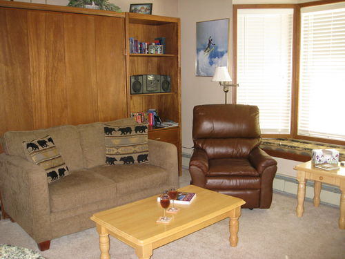 Queen size Murphy bed, gas fireplace, 2 recliners, cable TV w/VCR/DVD.  Separate full bath w/additional vanity.