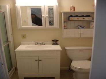 Newly remodeled bathroom large  shower stall