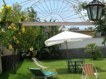 Garden (Chairs, table, umbrella)