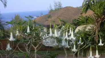 New Honeymoon Cottage