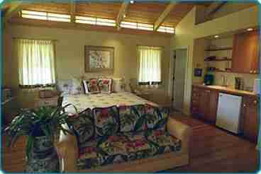 Studio Main Room