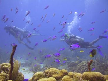 giant adventure park in Caribbean Belize 