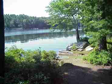 Shoreline