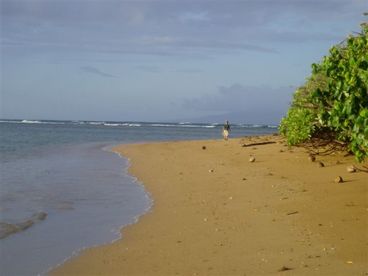 The walk to The Point.