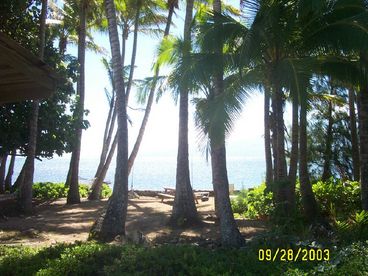 Molokai Paradise
