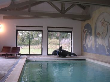 The indoors swimming-pool heated all the year