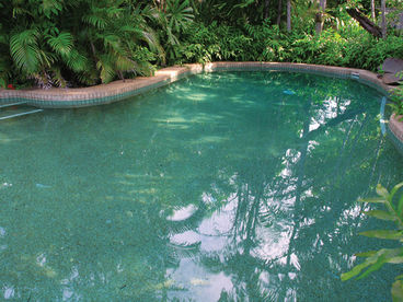 The pool is solar heated for those cooler months.
