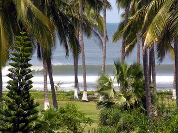 View of the great tropical sunning, surfing, boogie boarding, and kayaking from our living areas and terraces
