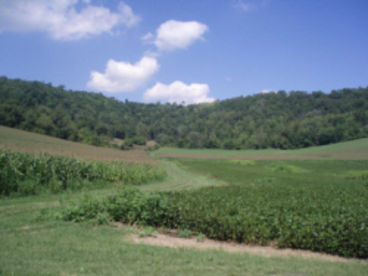Peace, privacy, and serenity is the setting as the house is set in a valley and overlooks 200 acres gentle rolling fields and bluffs.