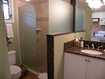 Shower/Vanity Area
