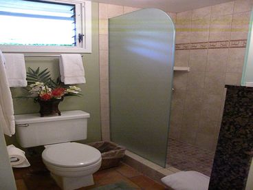 Walk-In Shower