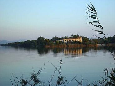 Ancient Olympia Area