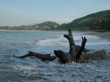 Local beach area