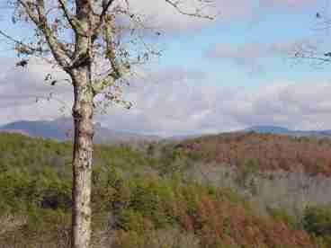 Serenity Hill View