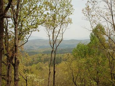 The back deck sports a specactular view of the north georgia mountains