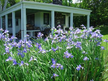 Berkshires Cottage