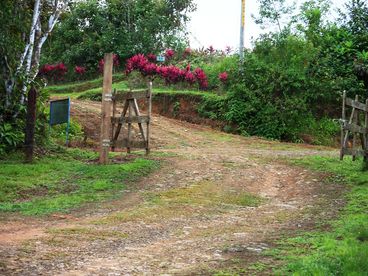Road going to driveway to house