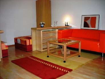 Living-bedroom : Apartment-B