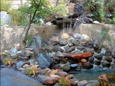 pond is just outside living room sliding doors - a cool place