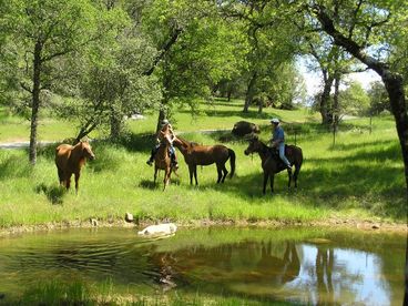 Bear River Ranch