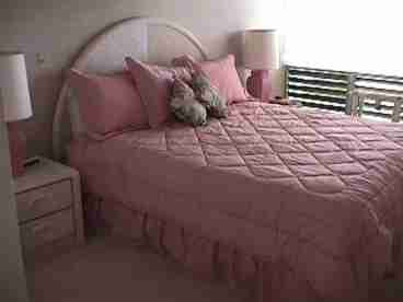 Master Bedroom with lanai attached and full bath and dresser and large TV.