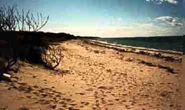 Private Ocean Beach