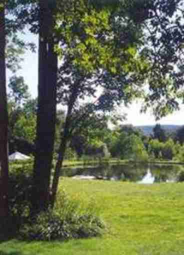 Pond View