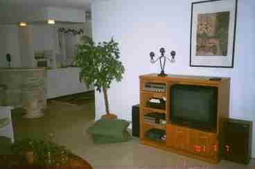 This shows only part of the living room. The entertainment Center which includes the TV, Vcr and stereo. There is also a couch, end tables and center table.