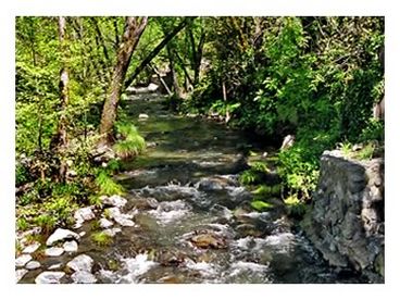 The sound of the creek can not be matched by other properties in Sonoma; it creates a relaxing setting, secluded yet only one mile from world class wineries