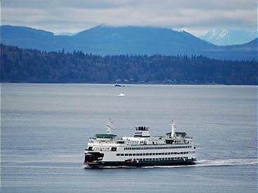 Watch passing Ferries, Cruise Ships, and Cargo Ships from your window