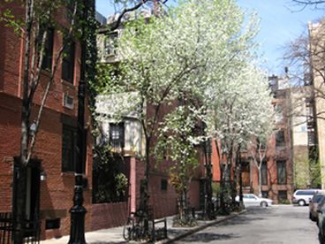 Charming historic neighborhood: Springtime in New York, around the corner from Greenwich Guest(view of Waverly Place)