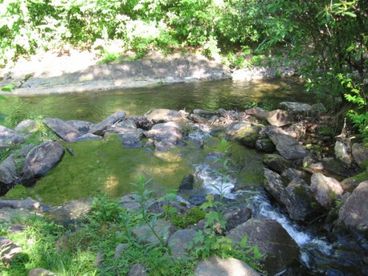 View off back yard