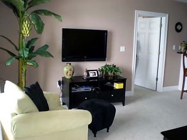 Flat Screen TV Living Room