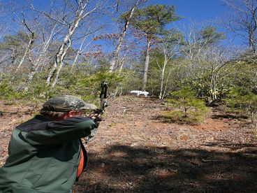 3-D Archery Range