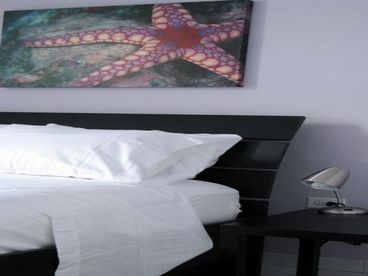 Spectacular View! Great Location! Stylish Beachfront Apartment