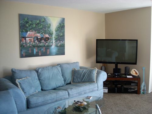 Living Room with Queen Sofa Sleeper and 50\