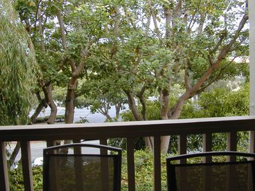 Deck view of coral trees