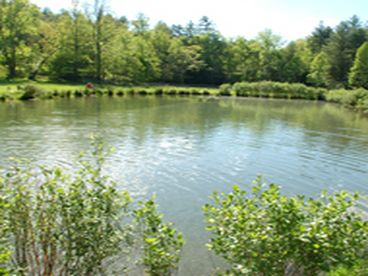 Trout pond