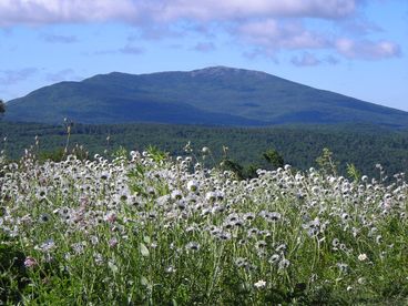 Summer View of Mount Monadnock 