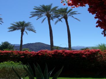 Main & Photo 1 are views from front door of courtyard and beyond