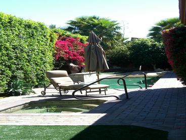 View of backyard jacuzzi, pool, water sheer, 12 foot high ficus and bougainvillia for total privacy, fruit trees in background.  Easy-care lawn - always perfect!