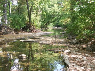 Creek that runs through the property, creating a beautiful setting. You will not believe you are in Downtown