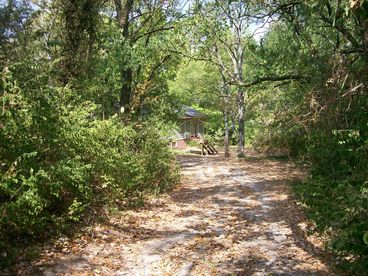 Driveway leading to Rambling Creek