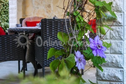 Sitting area in garden