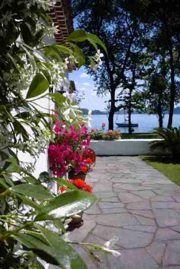 the garden