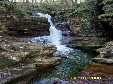 Ricketts Glen Cabin