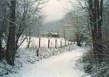 Winter View